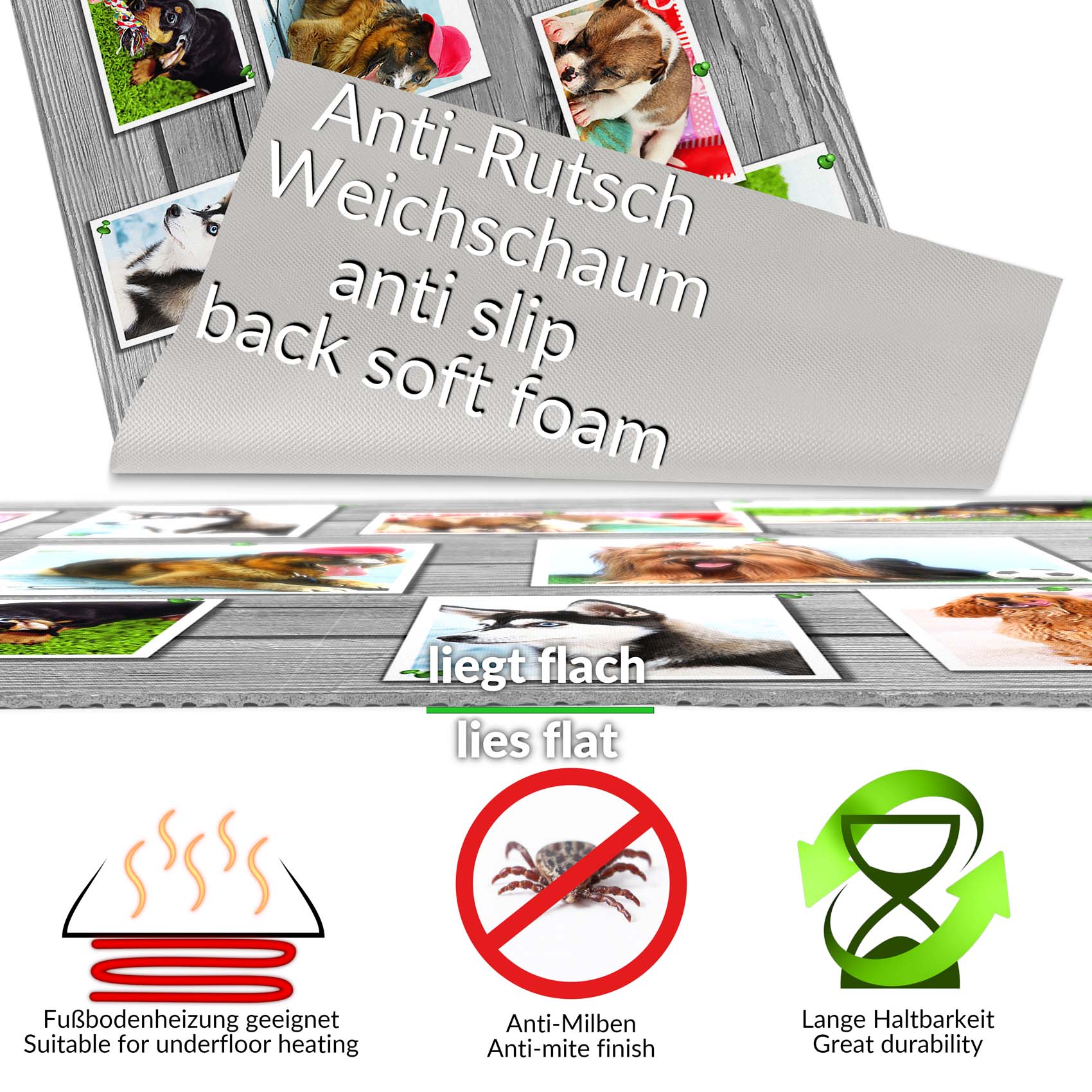 C-Users-Administrator-Desktop-2010_Mendy_MAMO-EMOMA18_50-jpg Küchenläufer Küchenteppich Läufer Flur Teppichläufer Hundemotiv Mehrfarbig 80cm Breit