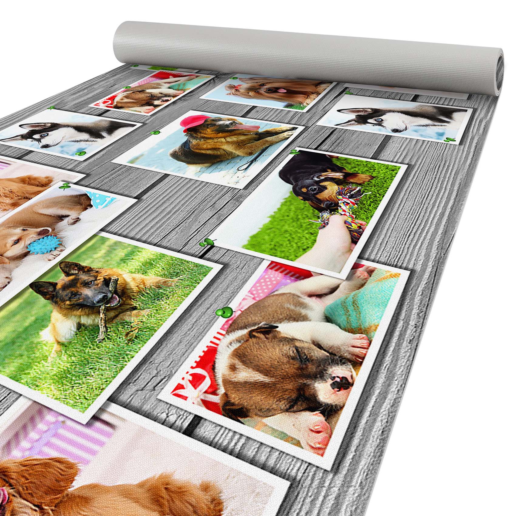 C-Users-Administrator-Desktop-upload-JPEG-EMOMA18_10-jpg Küchenläufer Küchenteppich Läufer Flur Teppichläufer Hundemotiv Mehrfarbig 80cm Breit