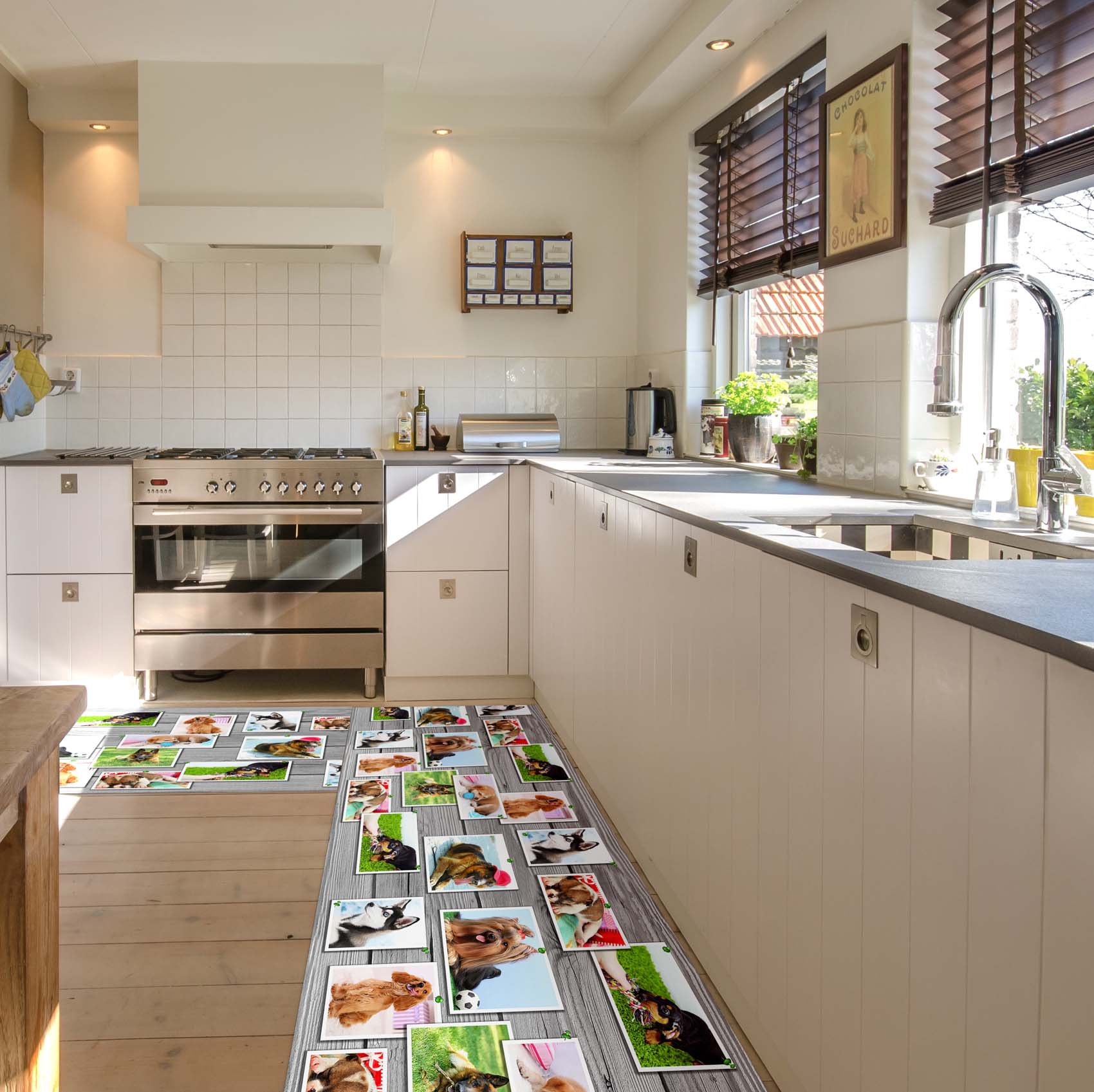 C-Users-Administrator-Desktop-upload-JPEG-EMOMA18_17-jpg Küchenläufer Küchenteppich Läufer Flur Teppichläufer Hundemotiv Mehrfarbig 80cm Breit