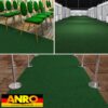 ALEX1-273_70