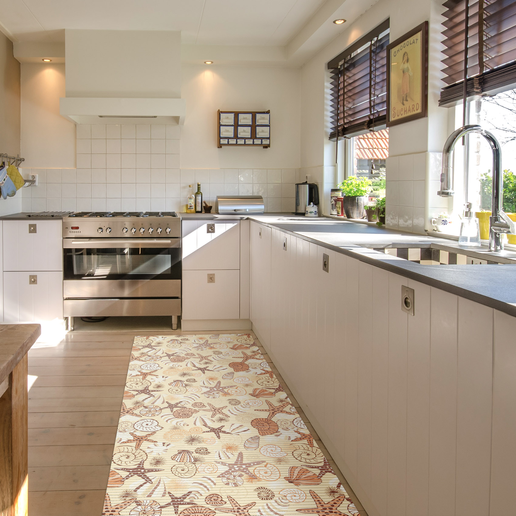 DM193B_17-jpg DM193B_17.jpg