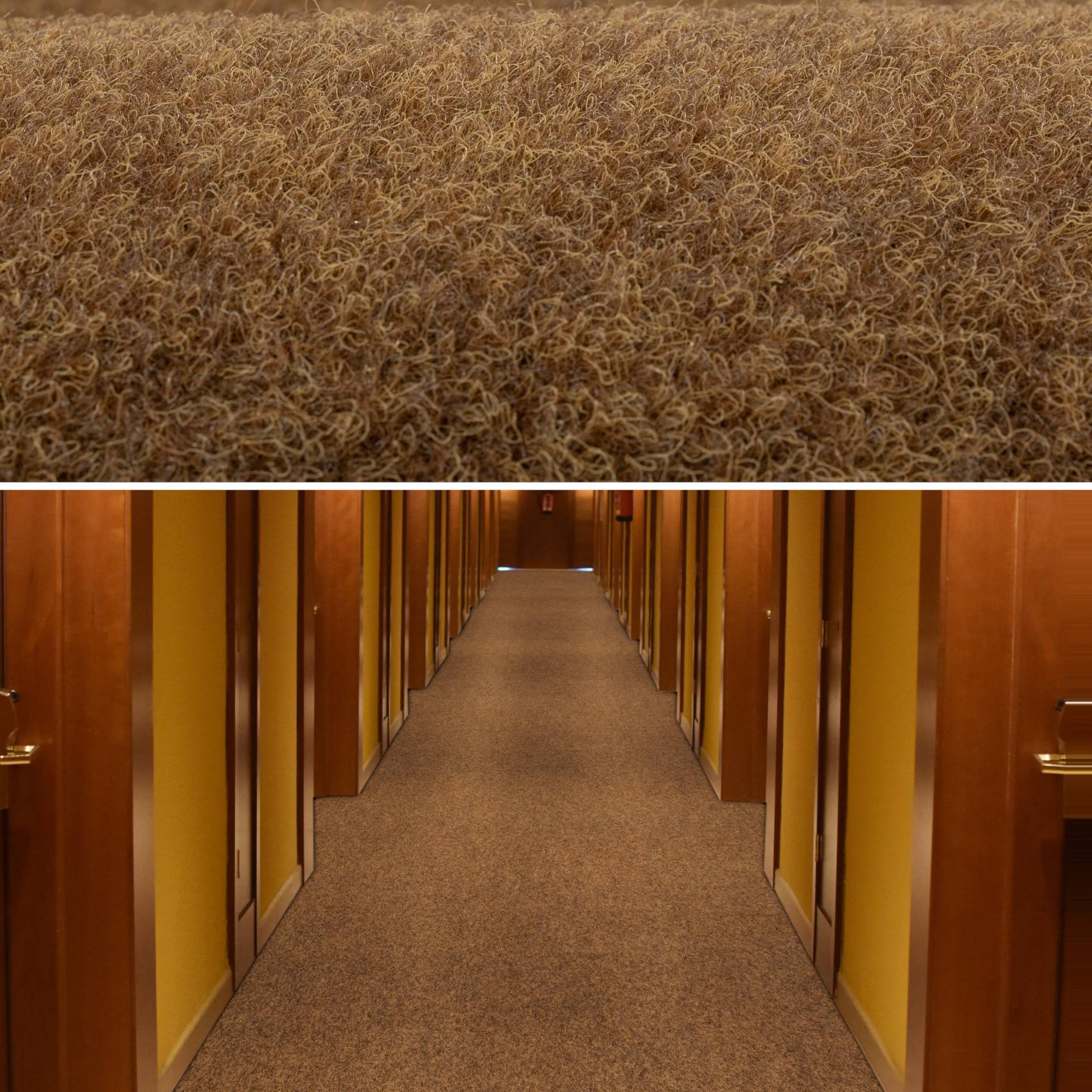 POETCOCO_60-jpg POETCOCO_60.jpg