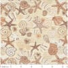 Seestern Muscheln Beige 70x50cm