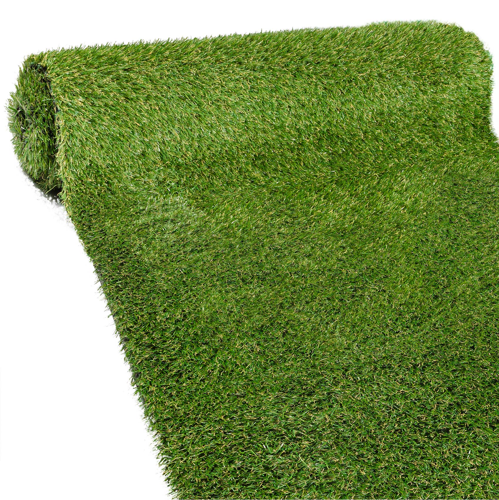 GRAS35_10a.jpg