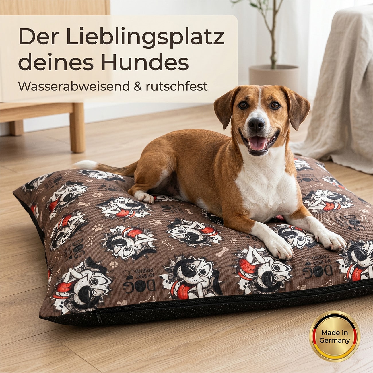 KSDOG-BRAU_70